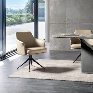 Steel Land Dining Chair Model: BF-CY006